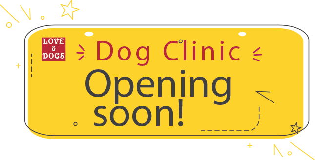 愛犬の元気で長生きをサポートできるように新たに予防医療クリニックをオープンします。